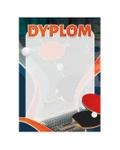 Dyplom papierowy D206