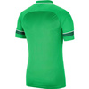 Koszulka dla dzieci Nike Dri-FIT Academy 21 Polo SS zielona CW6106 362