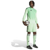 Spodenki męskie adidas Tiro 24 zielone JI6092