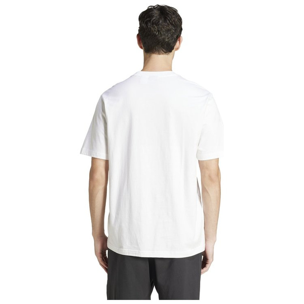 Koszulka męska adidas ESSENTIALS biała bawełniana