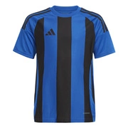 Koszulka dla dzieci adidas Striped 24 Kids IW2136