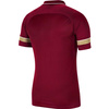 Koszulka dla dzieci Nike Dri-FIT Academy 21 Polo SS bordowa CW6106 677