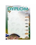 Dyplom papierowy D216