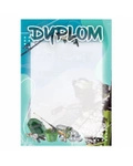 Dyplom papierowy D214