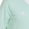 Koszulka dla dzieci adidas Entrada 22 Jersey błękitny