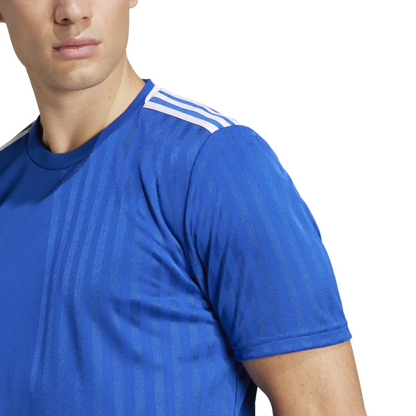 Koszulka męska adidas Campeon 25 Jersey niebieska JD9099