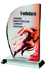 Trofeum szklane 21cm z nadrukiem kolorowym LuxorJet GS035