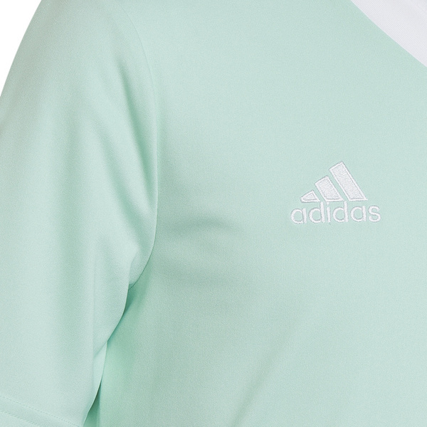 Koszulka dla dzieci adidas Entrada 22 Jersey błękitny