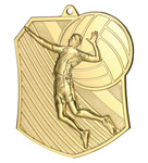 Medal metalowy złoty SIATKÓWKA MD8047