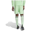 Spodenki męskie adidas Tiro 24 zielone JI6092