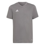 Koszulka sportowa męska adidas TEE szara bawełniana