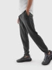Spodnie joggery męskie 4F TTROM451-23M
