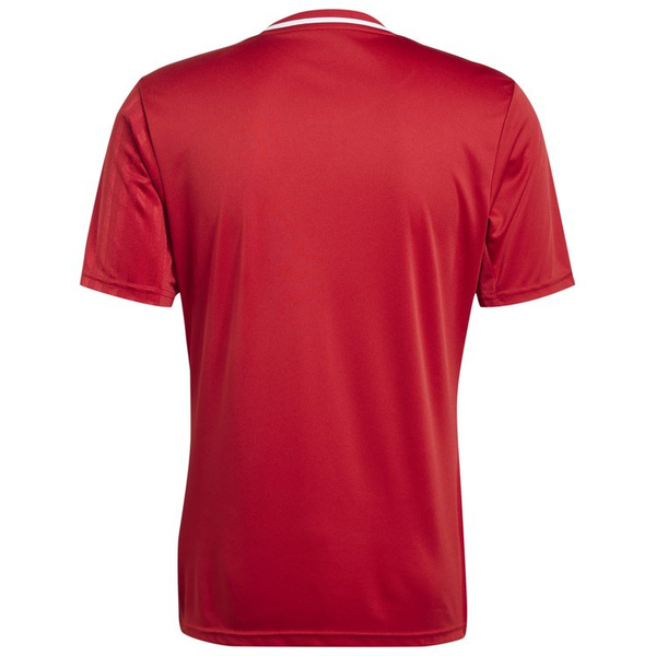 Koszulka męska adidas Campeon 25 Jersey czerwona JF6058