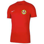 Koszulka męska Nike Dri-FIT Park VII czerwona z nadrukiem Akademii Piłkarskiej Talent Slim-Fit