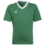 Koszulka dla dzieci adidas Entrada 22 Jersey zielony