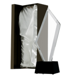 Trofuem szklane C079