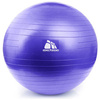 Piłka gimnastyczna fitness METEOR z pompką fioletowa 65 cm