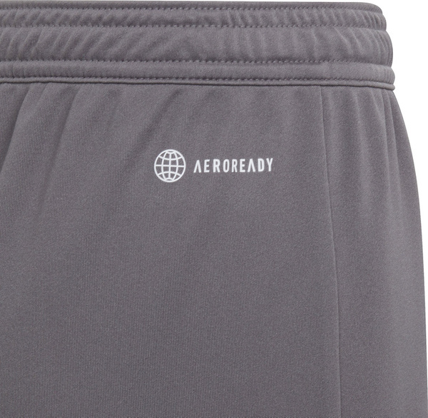 Spodenki dla dzieci adidas Entrada 22 szare