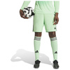 Spodenki męskie adidas Tiro 24 zielone JI6092