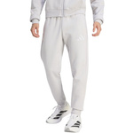 Spodnie męskie adidas Entrada 26 Sweat szare JZ9139