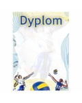 Dyplom papierowy D153