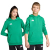 Bluza dla dzieci adidas Entrada 26 Hoody zielona JZ6563