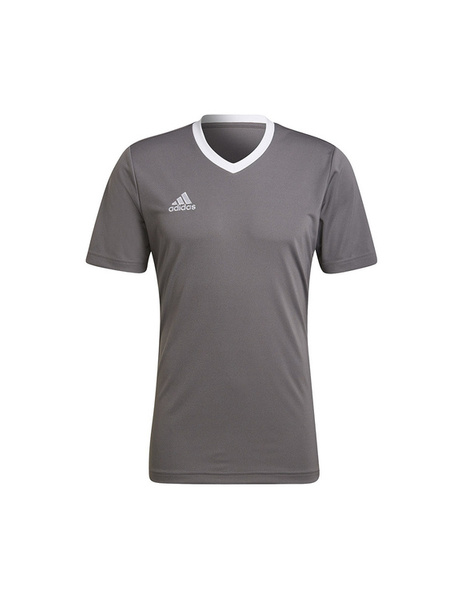 Koszulka męska adidas Entrada 22 Jersey szara