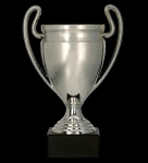 Puchar plastikowy srebrny H-16cm, R-70mm 8378C