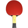 Rakietka do ping ponga Butterfly Timo Boll SG55 85022