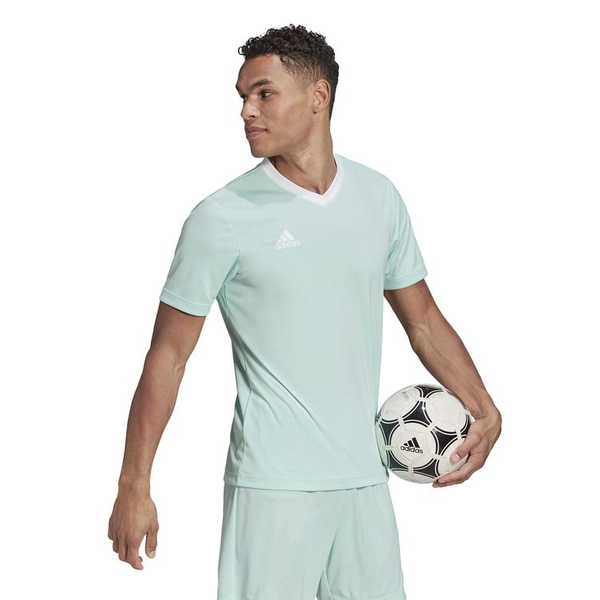 Koszulka męska adidas Entrada 22 Jersey miętowa