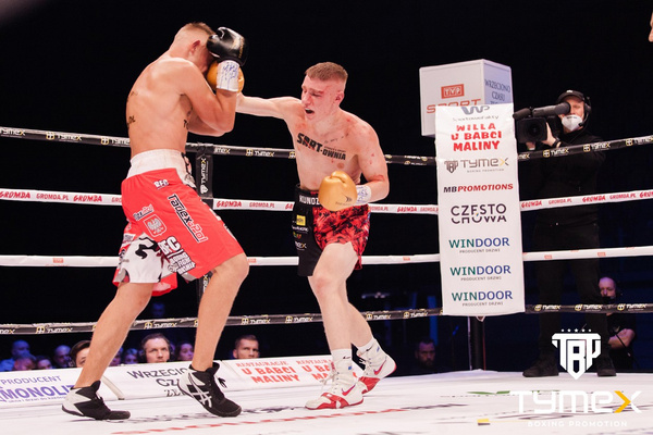 Rękawice bokserskie TIGER GOLD V 12 oz