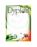 Dyplom papierowy D143