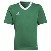 Koszulka dla dzieci adidas Entrada 22 Jersey zielony