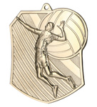 Medal metalowy srebrny SIATKÓWKA MD8047