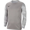 Bluza bramkarska dla dzieci Nike Dry Park IV JSY LS GK JUNIOR szara CJ6072 052