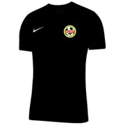 Koszulka męska Nike Dri-FIT Park VII czerwona z nadrukiem Akademii Piłkarskiej Talent Slim-Fit