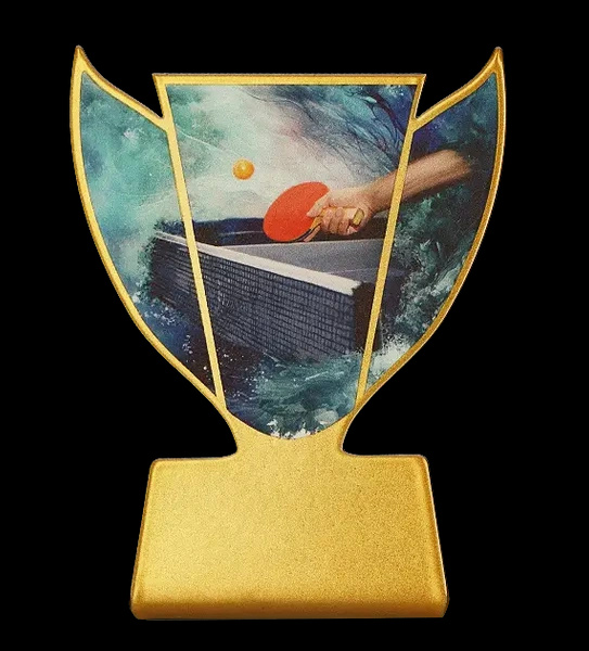 Trofeum metalowe - Najlepszy strzelec