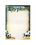 Dyplom papierowy D142