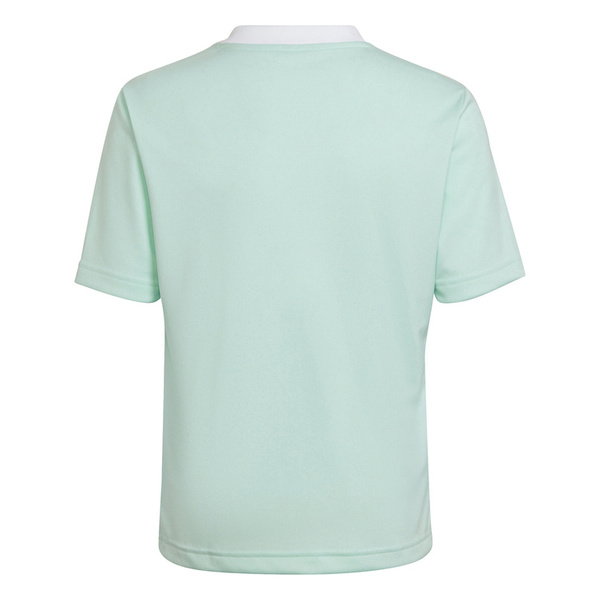 Koszulka dla dzieci adidas Entrada 22 Jersey błękitny