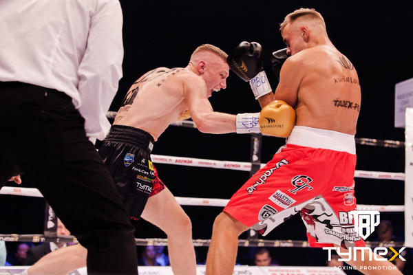 Rękawice bokserskie TIGER GOLD V 12 oz