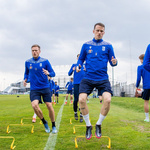 Płotek elastyczny 23cm koordynacyjny