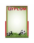 Dyplom papierowy D145