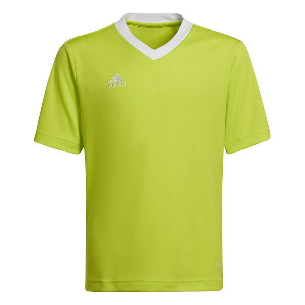 Koszulka dla dzieci adidas Entrada 22 Jersey zielony