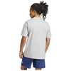 Koszulka męska adidas ESSENTIALS szara bawełniana