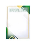 Dyplom papierowy D189