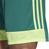 Spodenki męskie adidas Tastigo 19 Shorts zielone DP3251