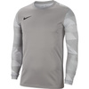 Bluza bramkarska męska Nike Dry Park IV JSY LS GK szara CJ6066 052