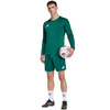 Koszulka męska adidas Entrada 26 Long Sleeve Jersey zielona KF5846
