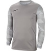 Bluza bramkarska męska Nike Dry Park IV JSY LS GK szara CJ6066 052