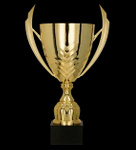 Puchar metalowy złoty H-30cm, R-100mm 4224F